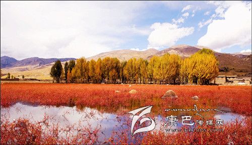 稻城亞?。?一個美得驚世駭俗的地方