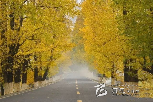 康定新都橋，有一條黃金大道通往夢中的天堂