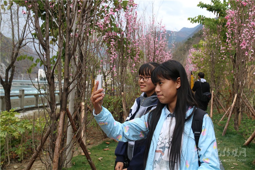 春光俏！“醉”是瀘定春三月，踏青賞花正當(dāng)時(shí)