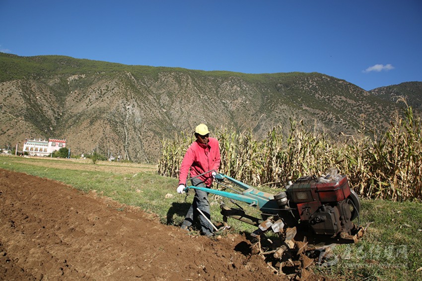 田園藏鄉(xiāng)美如畫，百姓脫貧喜在心