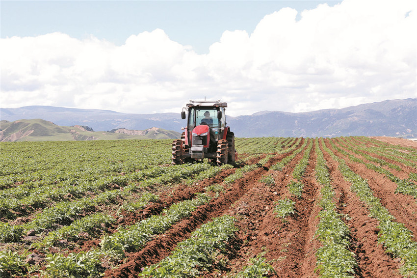 理塘縣甲.jpg 理塘縣甲.jpg