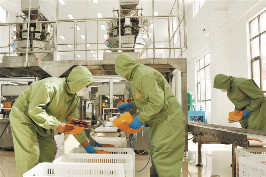 圖為工人.jpg 圖為工人.jpg