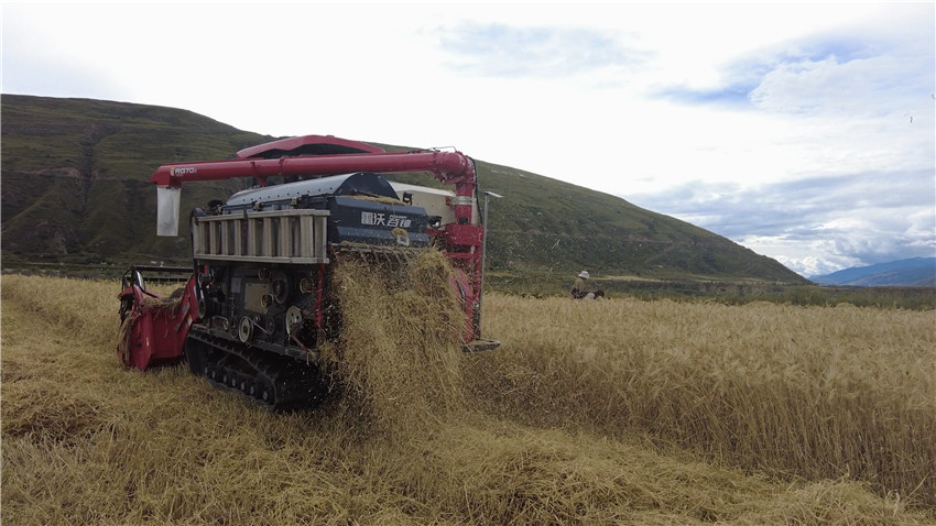 機械收割.jpg 機械收割.jpg