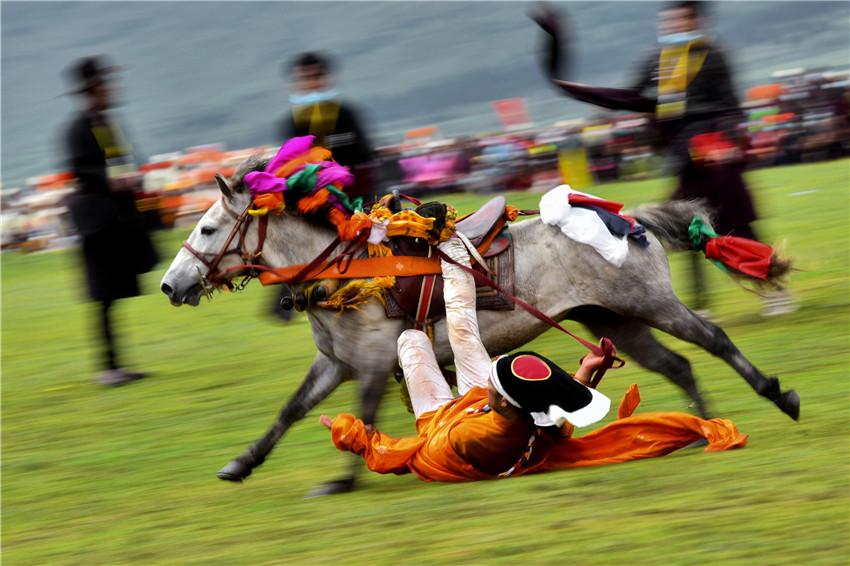 精彩刺激.jpg 精彩刺激.jpg