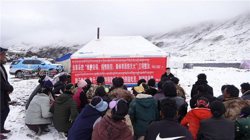 工作組到蟲.jpg 工作組到蟲.jpg