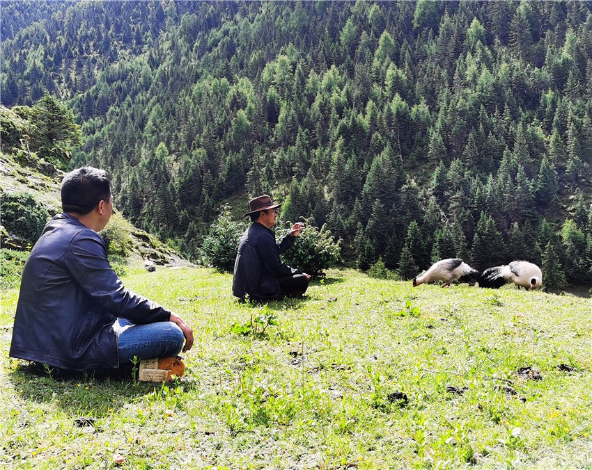 在甲根壩.jpg 在甲根壩.jpg